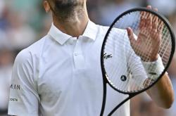 爱游戏体育官网-包含温网完胜法网，德约科维奇惊艳四座的词条