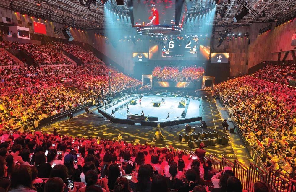 体育赛事精彩纷呈，粉丝热情支持的简单介绍