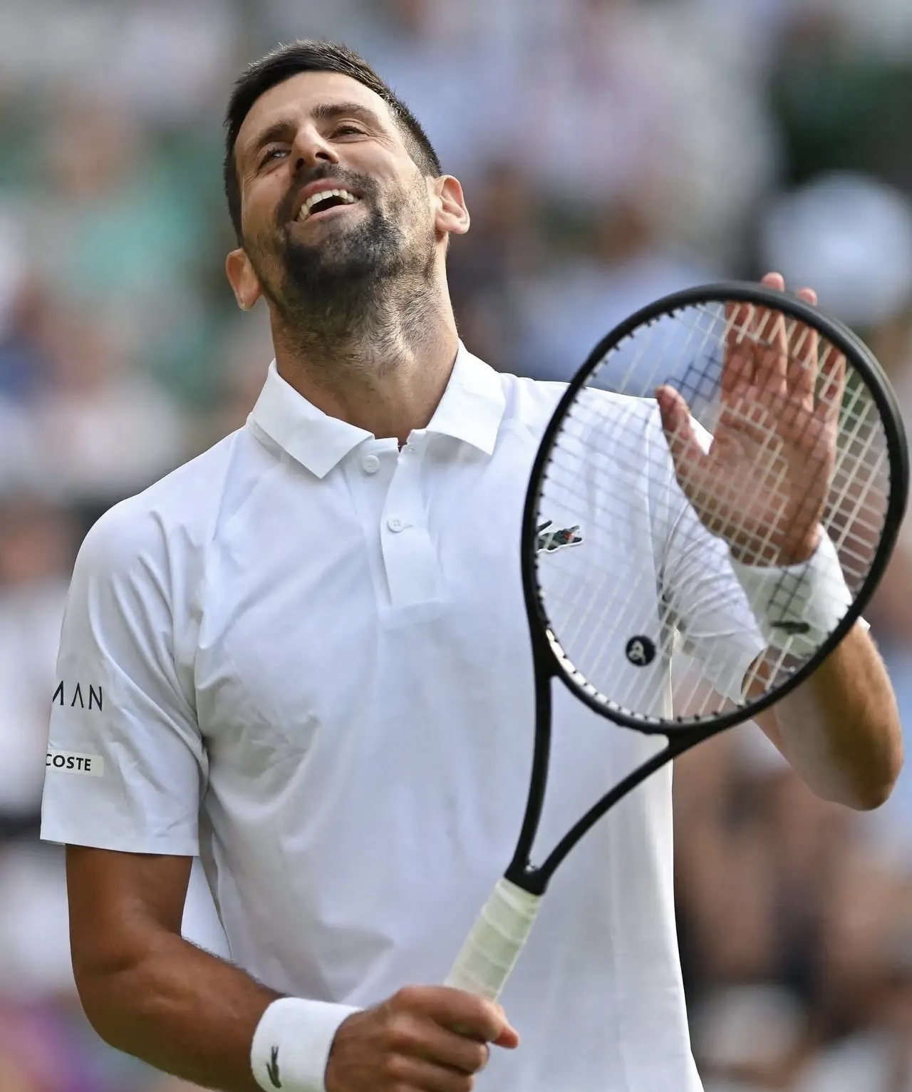 包含温网完胜法网,德约科维奇惊艳四座的词条 包含温网完胜法网,德约科维奇惊艳四座的词条