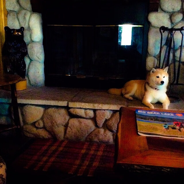 世界排名争夺战焦点战，鹈鹕绝杀快船，改写西区格局