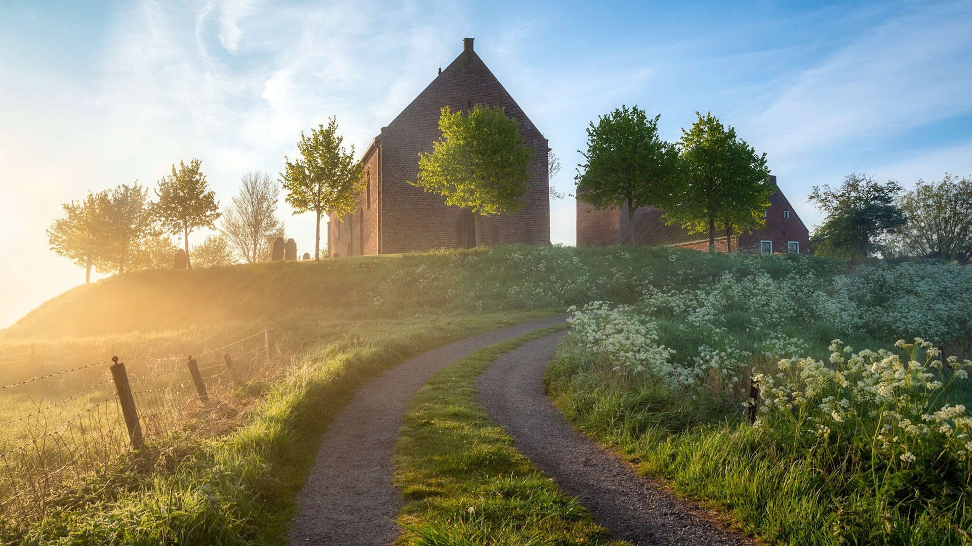 灰熊火力压制广东队,戈贝尔成为关键先生,一场战术与意志的较量