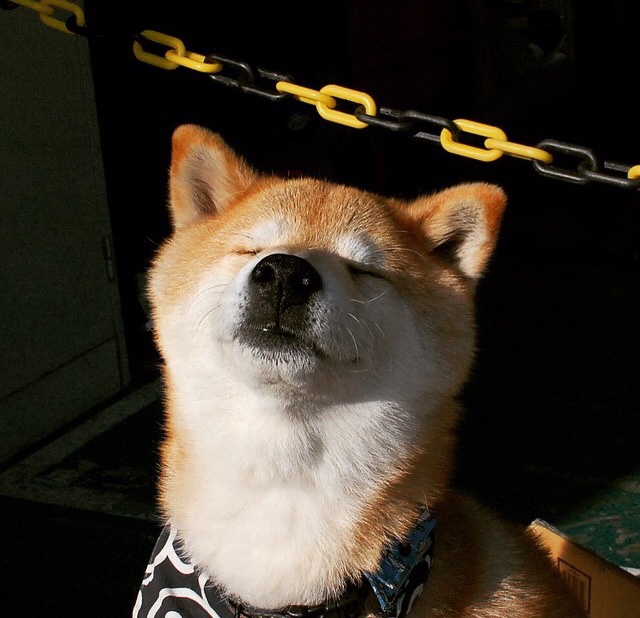 布克末节接管比赛，魔术绝杀奇才，宿命对决中的双重奇迹