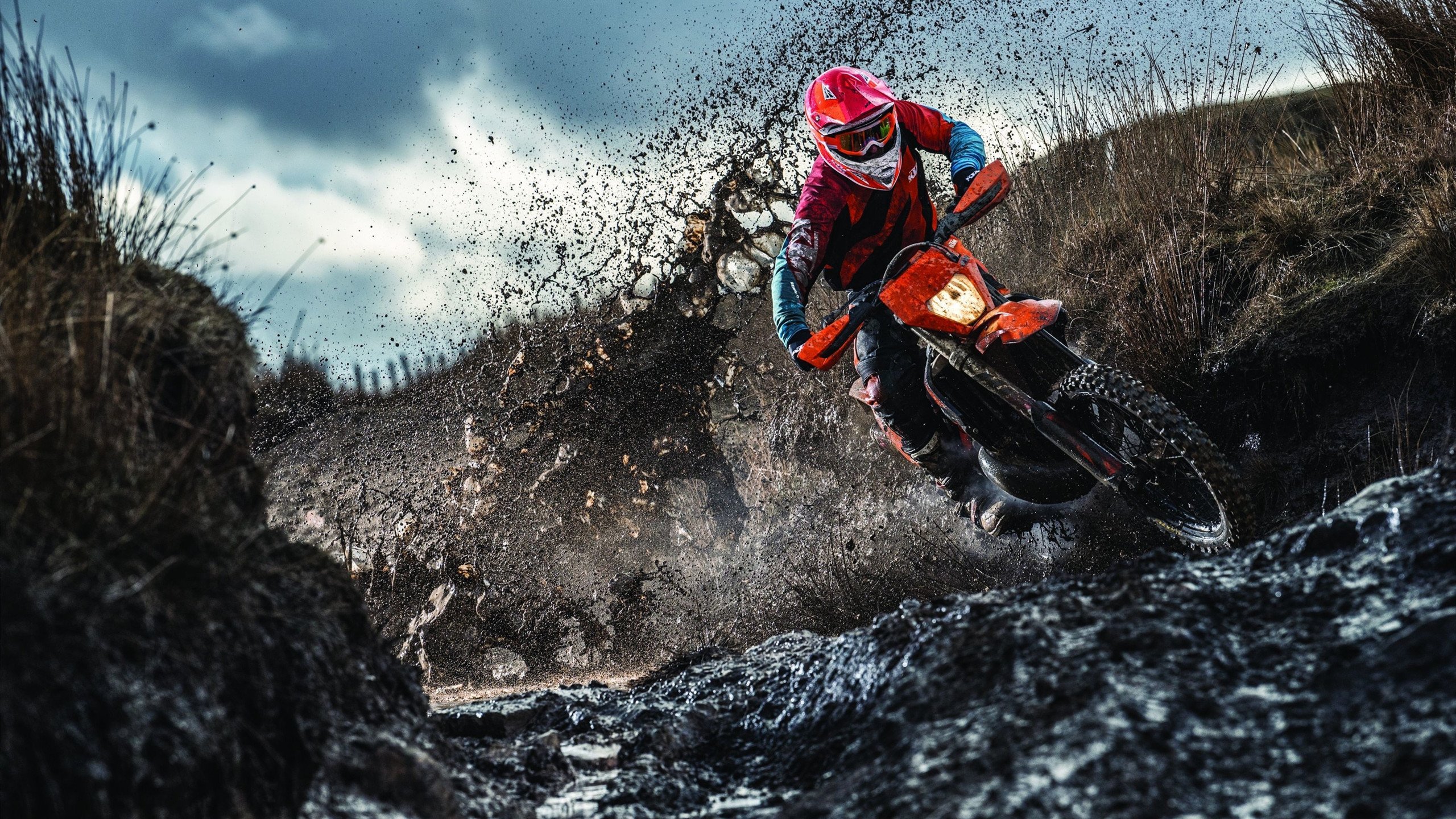 冰与火的对决,埃及战术洪流冲垮冰岛防线,抢七战上演史诗逆转